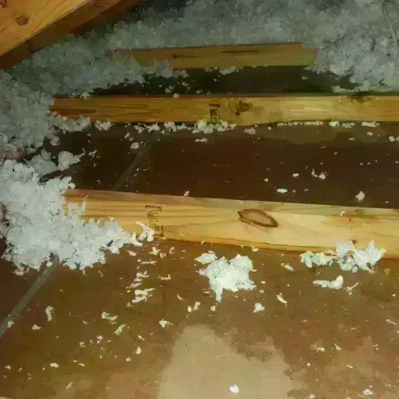 Attic Water Damage in Borden County, TX